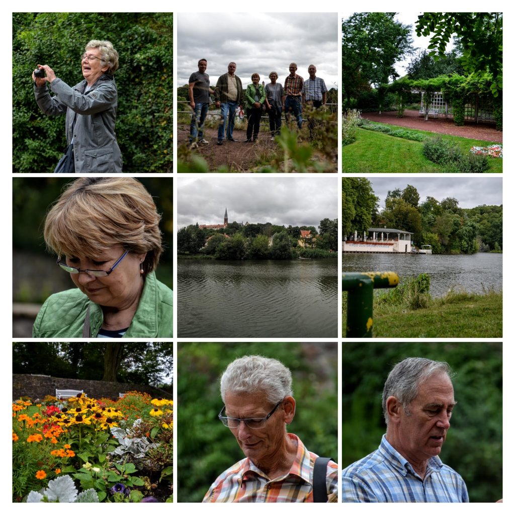 DSC_0005-COLLAGE