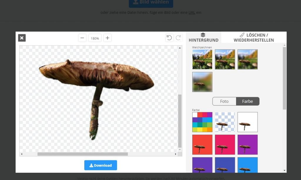 Hintergrund entfernen mit Remove.bg